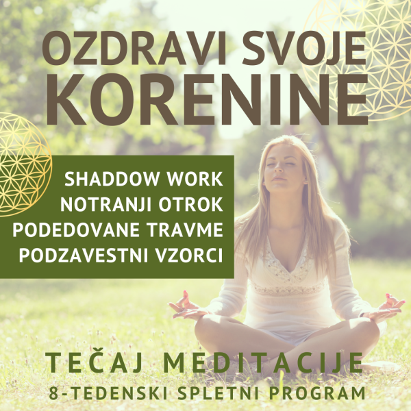 Tečaj meditacije Advanced
